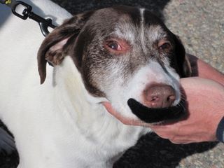 2010_04_16_t14_46_00.jpg (large)